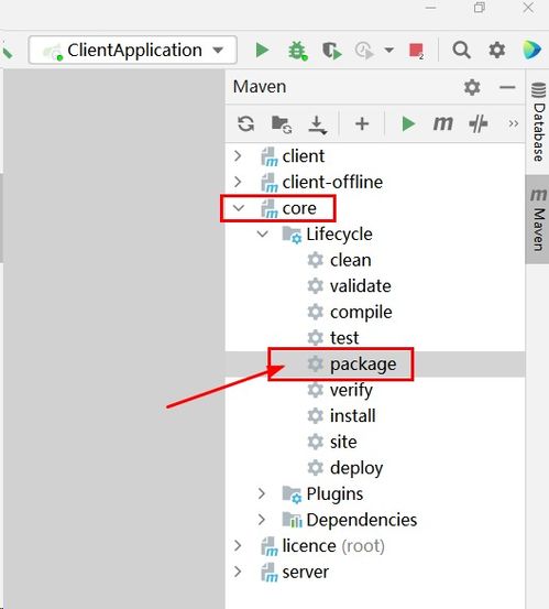 軟件產品許可證書 licence 全流程研發 使用非對稱加密技術,既安全又簡單